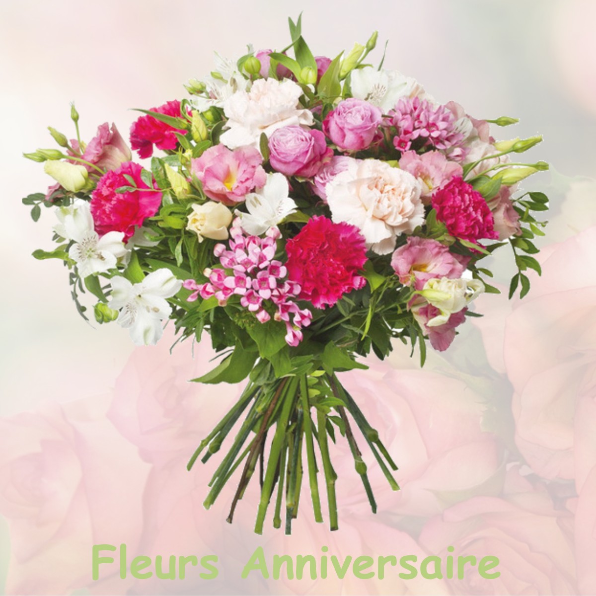 fleurs anniversaire SAINT-AMANT-DE-BONNIEURE
